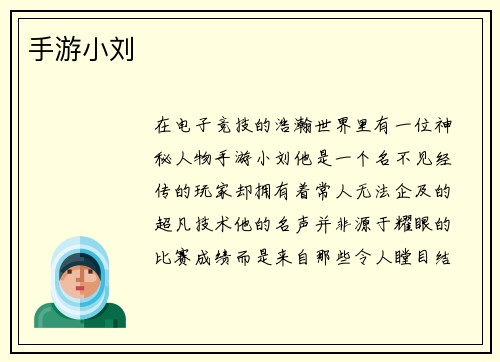 手游小刘