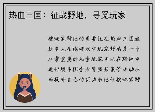 热血三国:征战野地,寻觅玩家